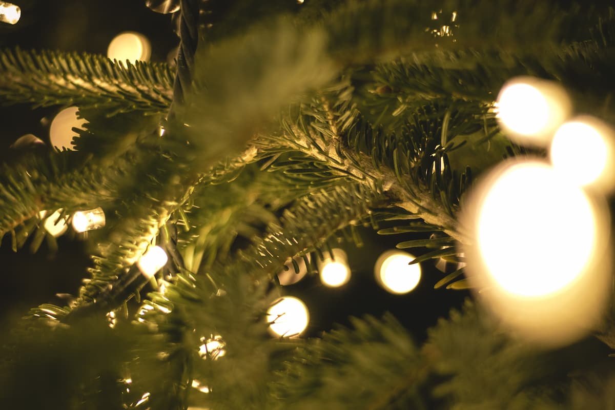Blog Pirach-Pleinting Weihnachten Teaserbild